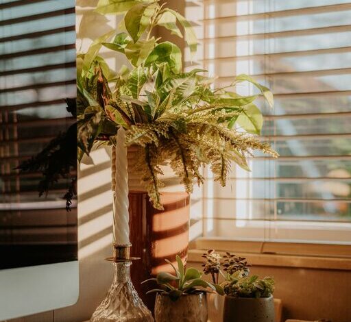 How to Create a Cozy and Productive Home Office Space